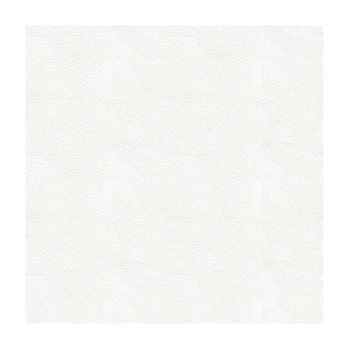 Kravet Design ALI.101.0 Ali-101 Fabric Sample