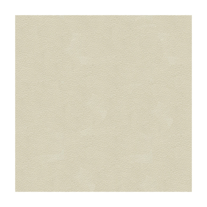 Kravet Design ALI.111.0 Ali-111 Fabric Sample