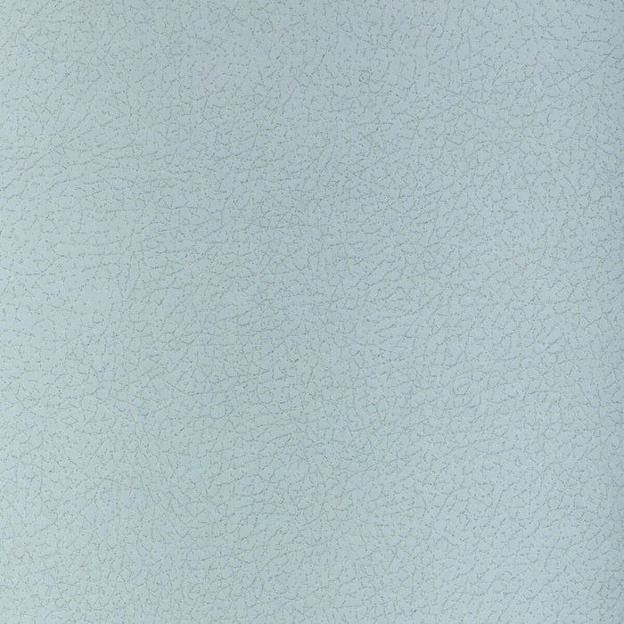 Kravet Design ALI.113.0 Ali-113 Fabric Sample