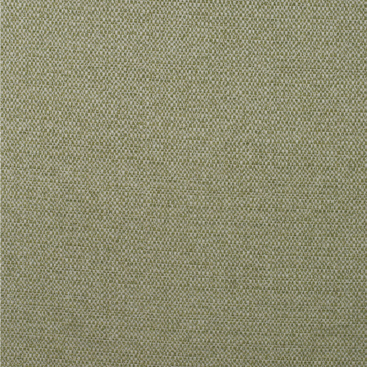 Kravet Couture Jetty Reed Fabric Sample AM100438.316.0