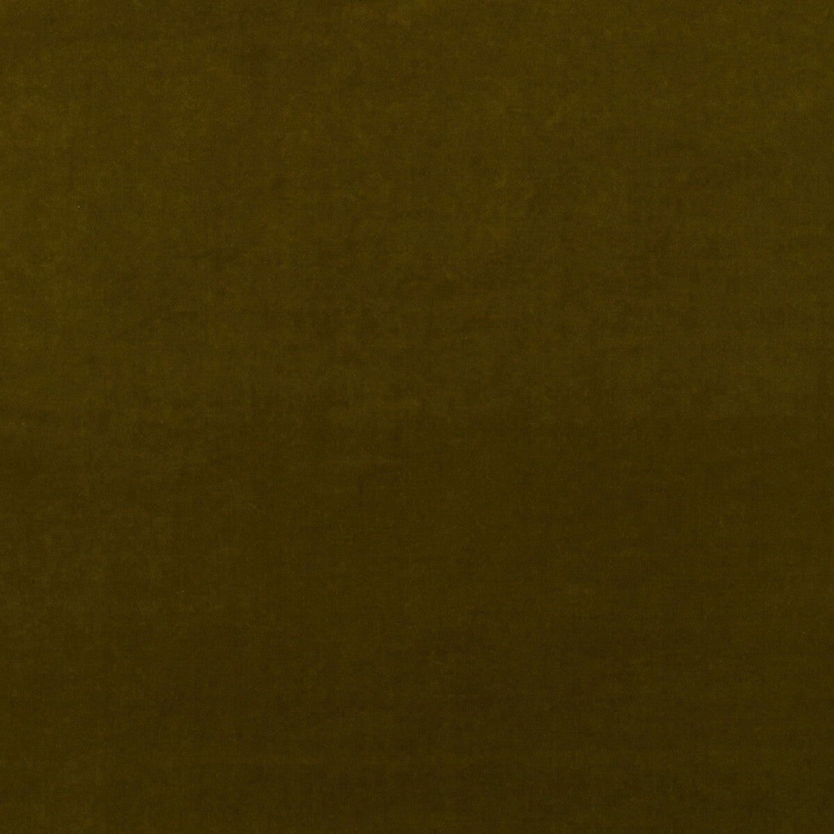 Kravet Couture Medici Olive Fabric Sample AM100443.34.0