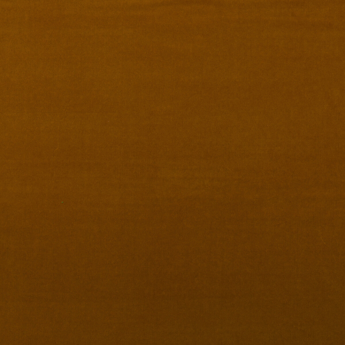 Kravet Couture Medici Mustard Fabric Sample AM100443.412.0