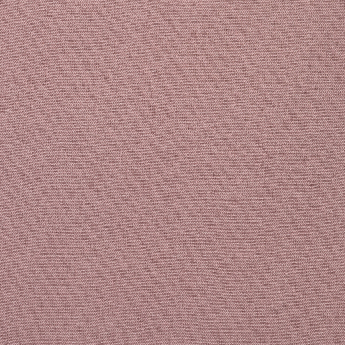 Kravet Couture Rocco Petal Fabric Sample AM100452.17.0