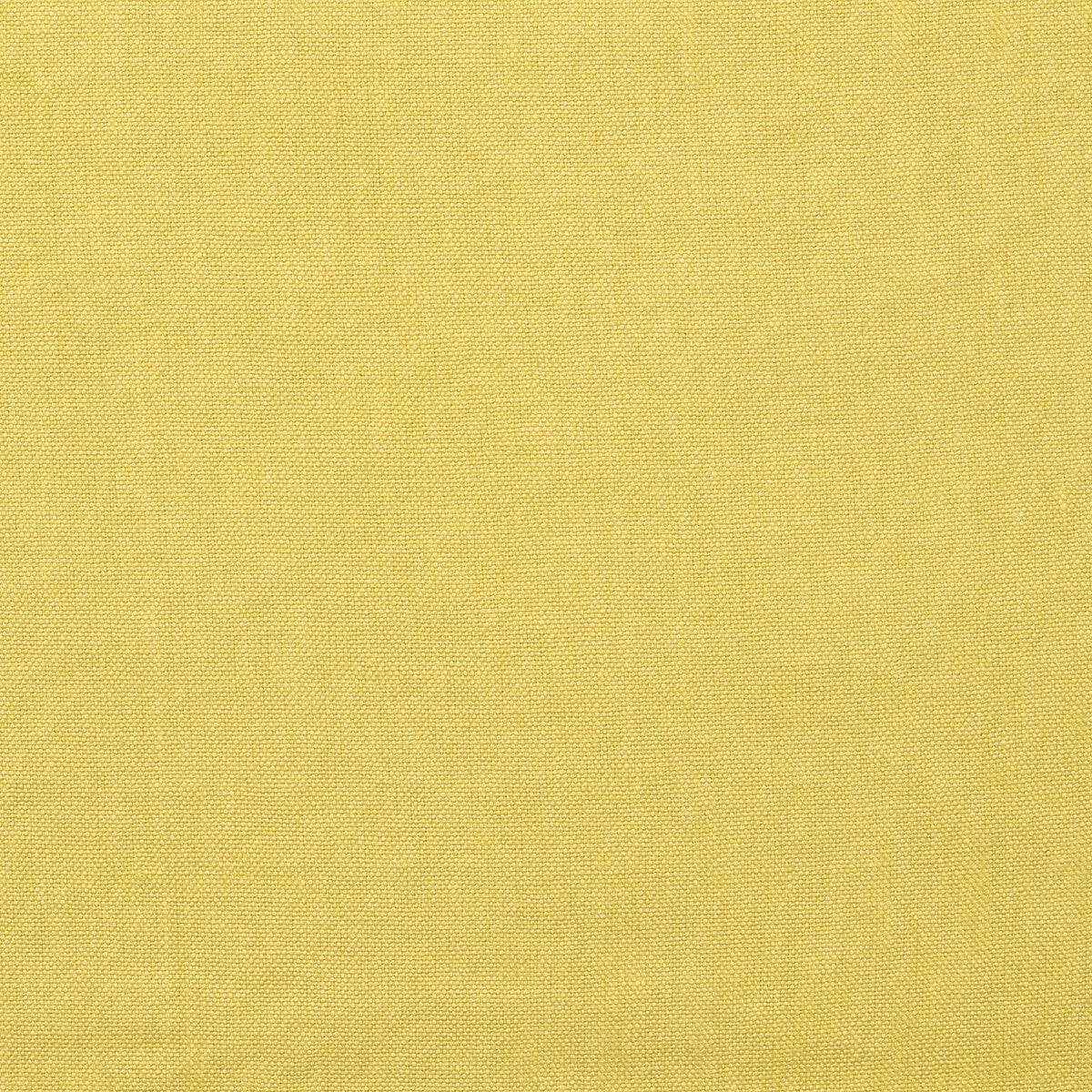 Kravet Couture Rocco Citrine Fabric Sample AM100452.314.0