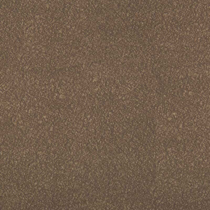 Kravet Contract Ames Elephant Fabric Sample AMES.621.0