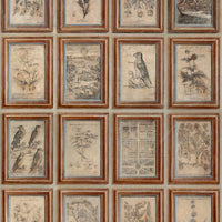 Kravet Couture Journal Neutral Wallpaper AMW10098.6116.0