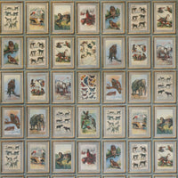 Kravet Couture Zoology Neutral Wallpaper AMW10102.511.0