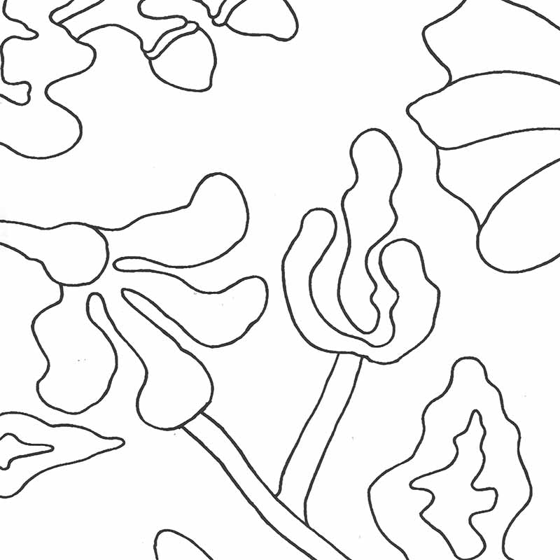 Alan Campbell Potalla Outline Black Wallpaper Sample AP804L-30