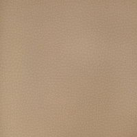 Kravet Design ARENI.1101.0 Fabric