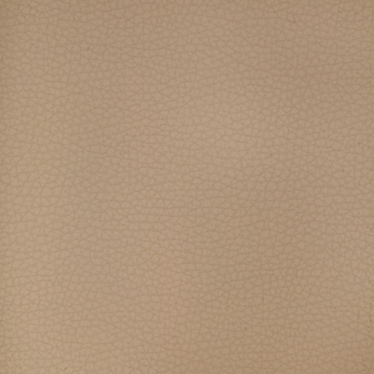 Kravet Design ARENI.1101.0 Fabric Sample