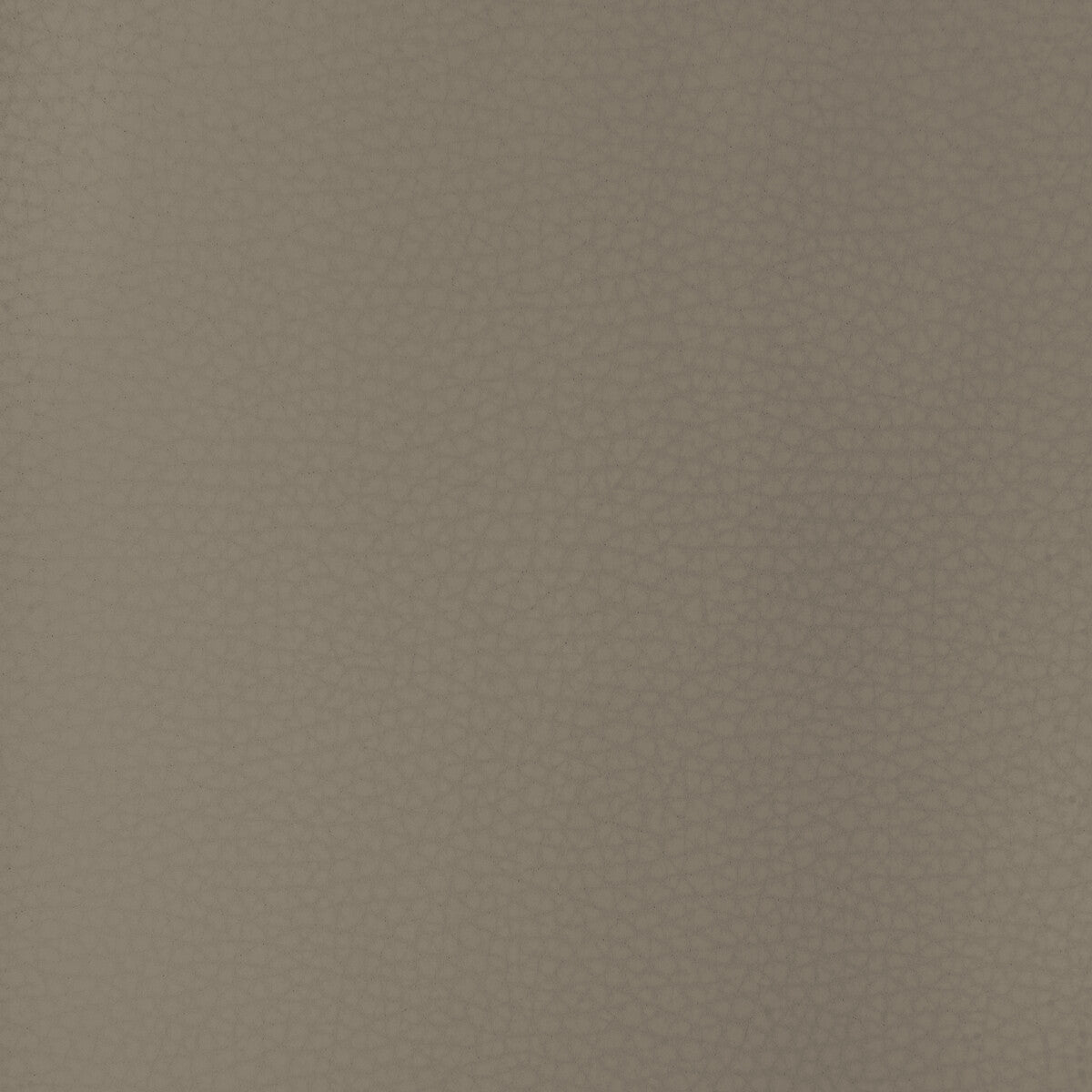 Kravet Design ARENI.11.0 Fabric Sample