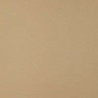 Kravet Design ARENI.16.0 Fabric