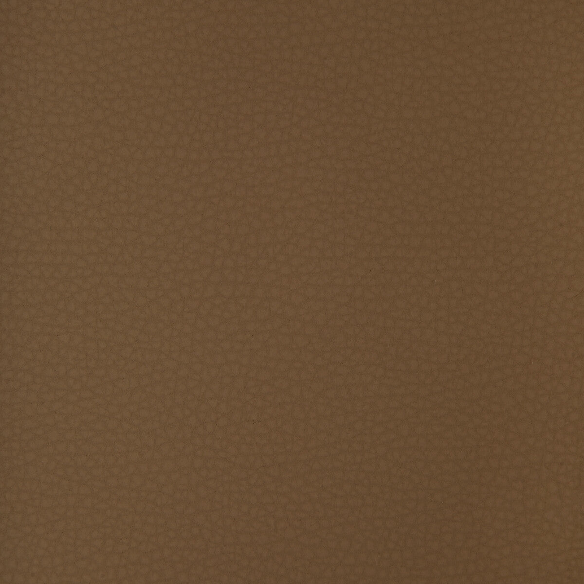 Kravet Design ARENI.6.0 Fabric