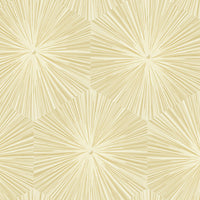 Seabrook Designs Chadwick Starburst Metallic Gold And White Wallpaper AV51105