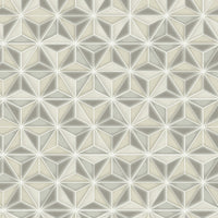 Seabrook Designs Einstein Geometric Metallic Gold And Metallic Silver Wallpaper AV51408