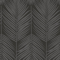 Seabrook Designs Persei Palm Midnight Galaxy Wallpaper BD50020