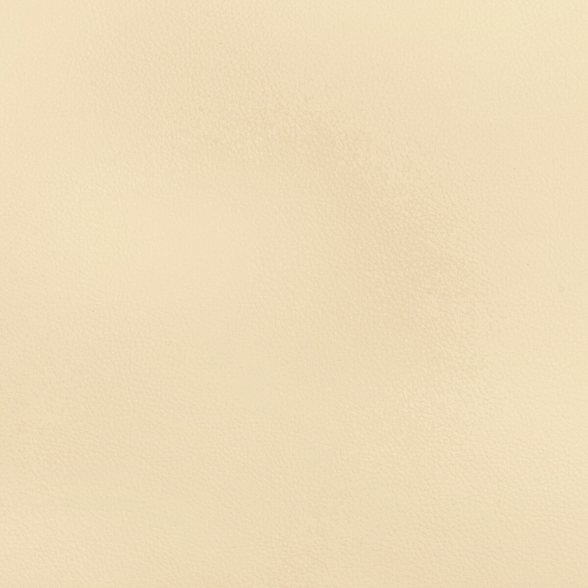 Kravet Design BEECH.1.0 Fabric