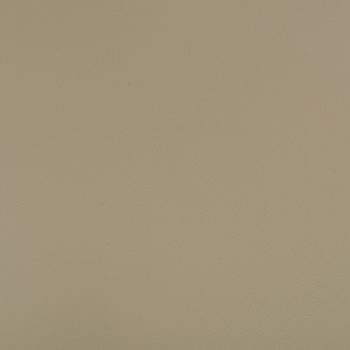 Kravet Design BEECH.106.0 Fabric