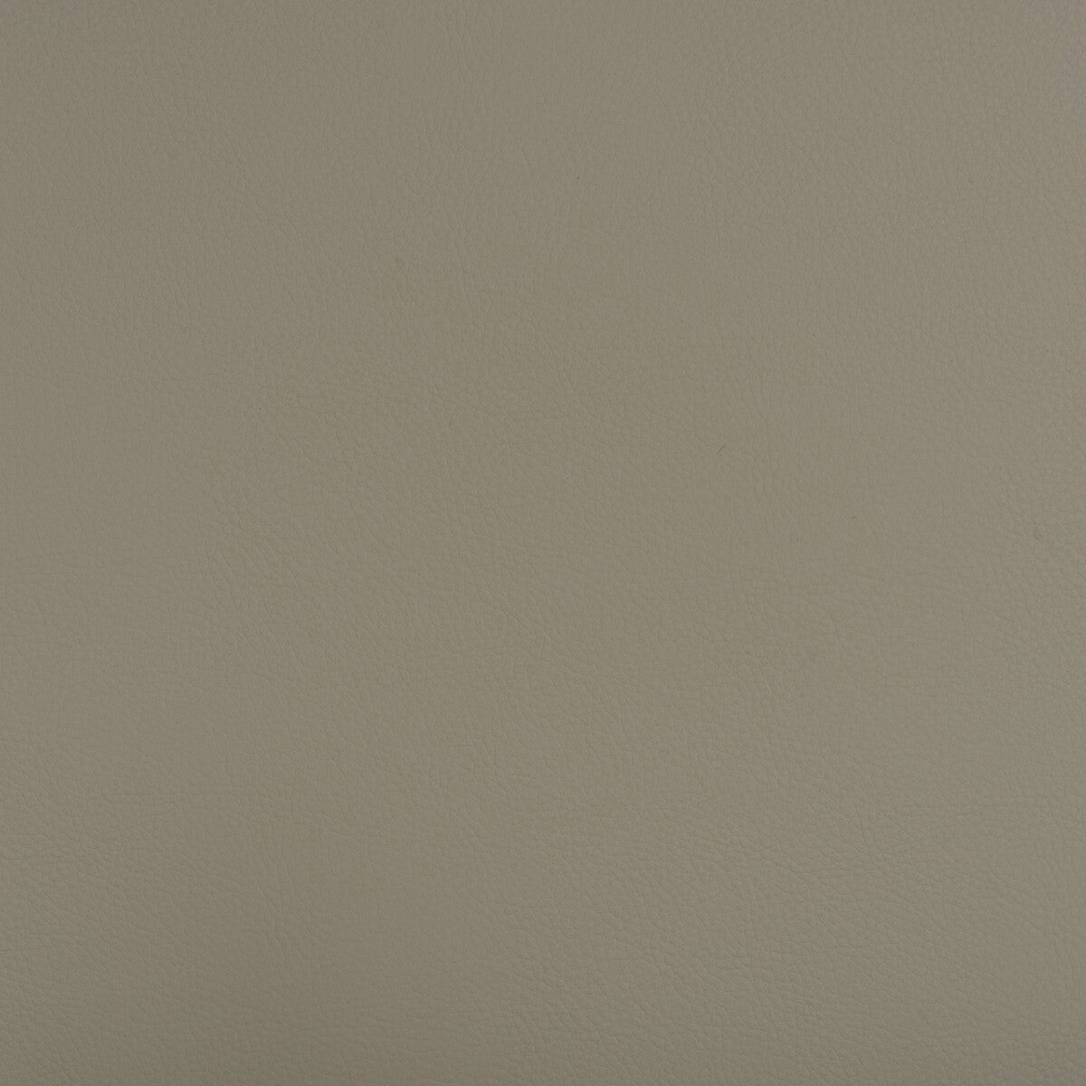 Kravet Design BEECH.1101.0 Fabric