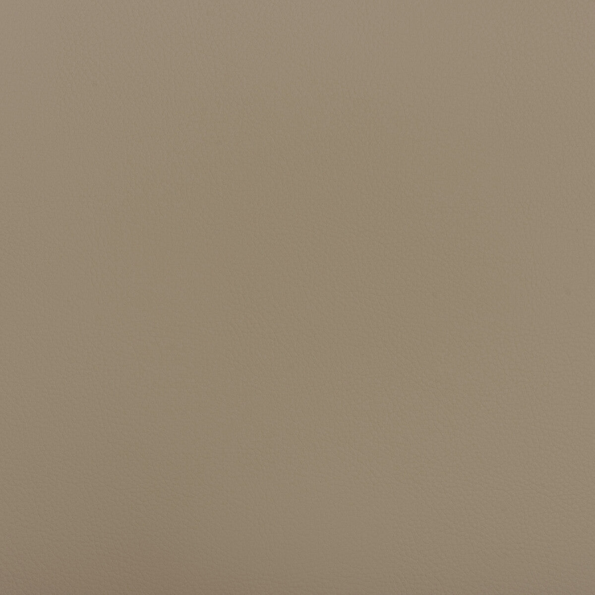 Kravet Design BEECH.121.0 Fabric