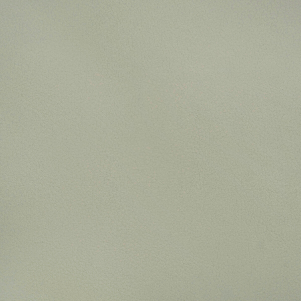 Kravet Design BEECH.1511.0 Fabric