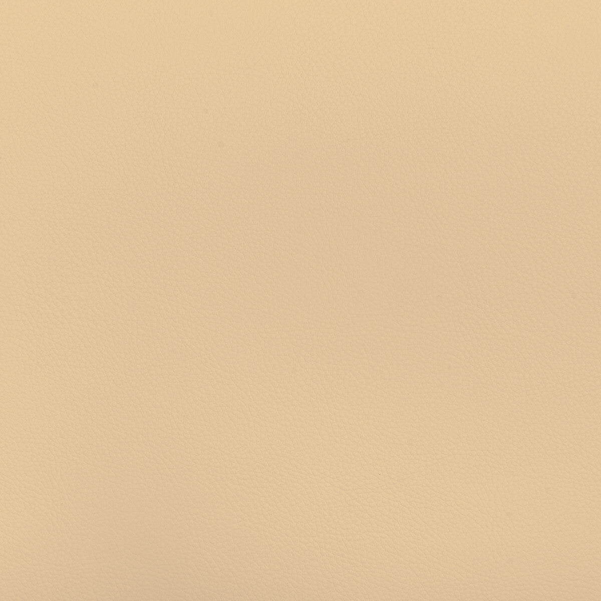 Kravet Design BEECH.16.0 Fabric
