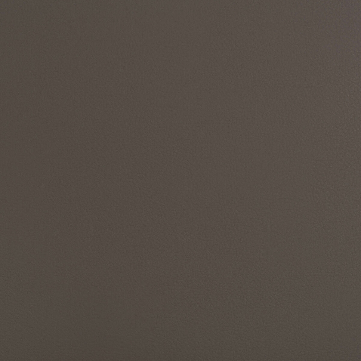 Kravet Design BEECH.21.0 Fabric