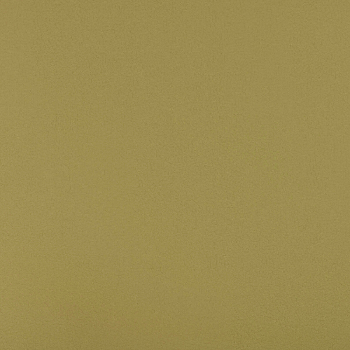Kravet Design BEECH.23.0 Fabric