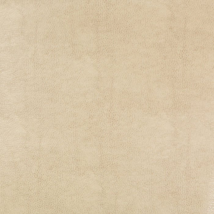 Kravet Design BEHOLDER.116.0 Beholder-116 Fabric Sample