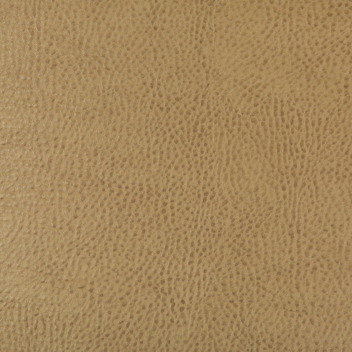 Kravet Design BEHOLDER.16.0 Beholder-16 Fabric