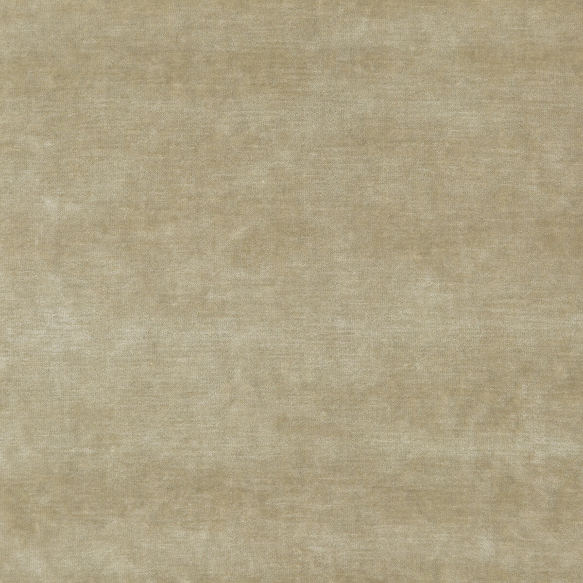 GP & J Baker King'S Velvet Oyster Fabric Sample BF10658.106.0