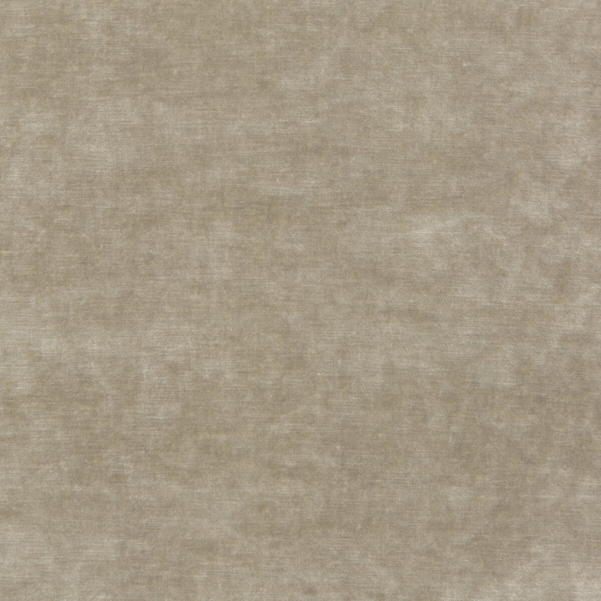 GP & J Baker King'S Velvet Parchment Fabric Sample BF10658.225.0