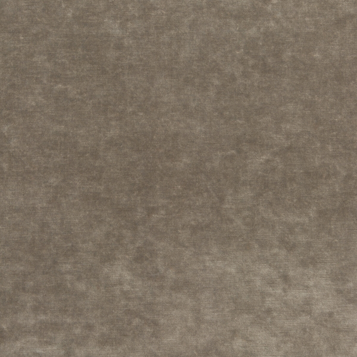 GP & J Baker King'S Velvet Mink Fabric Sample BF10658.285.0