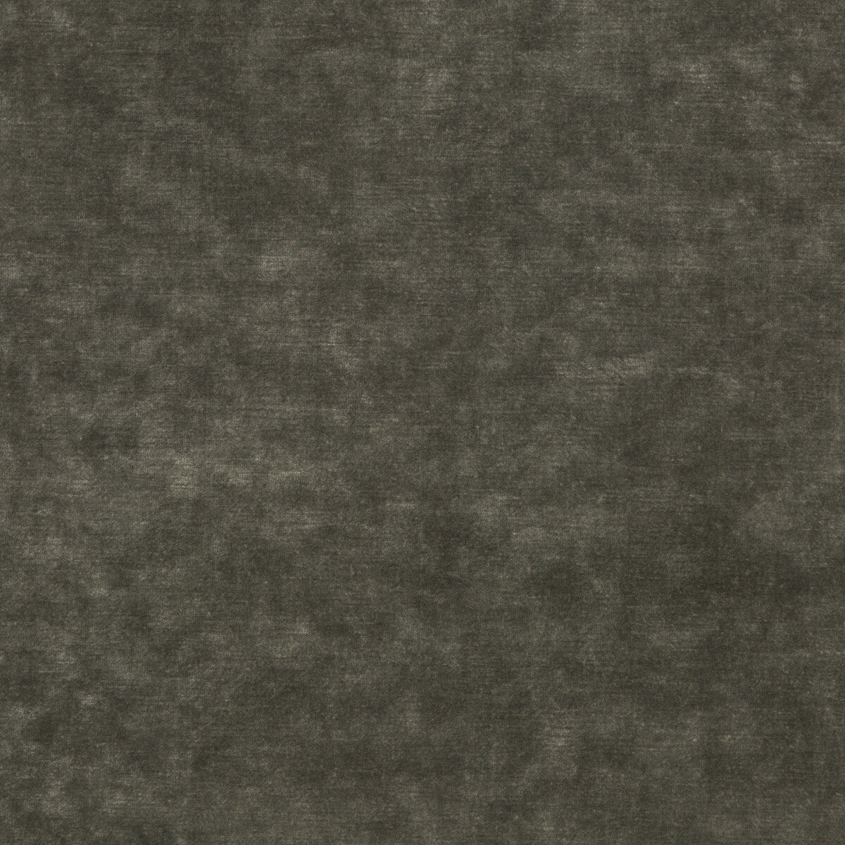 GP & J Baker King'S Velvet Ebony Fabric Sample BF10658.955.0