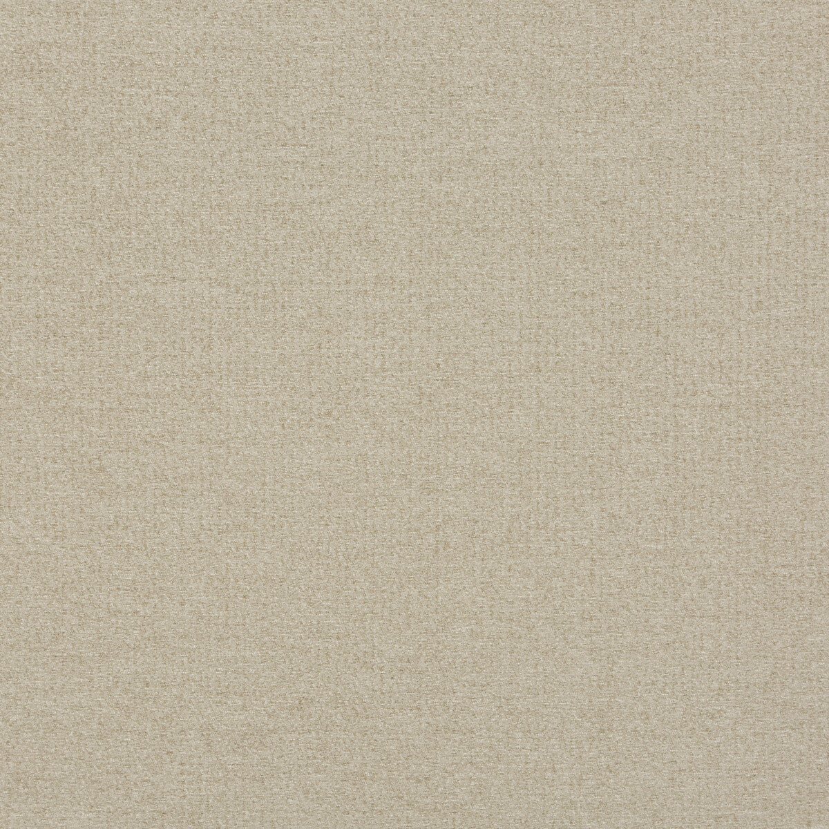 GP & J Baker Matrix Parchment Fabric Sample BF10686.225.0