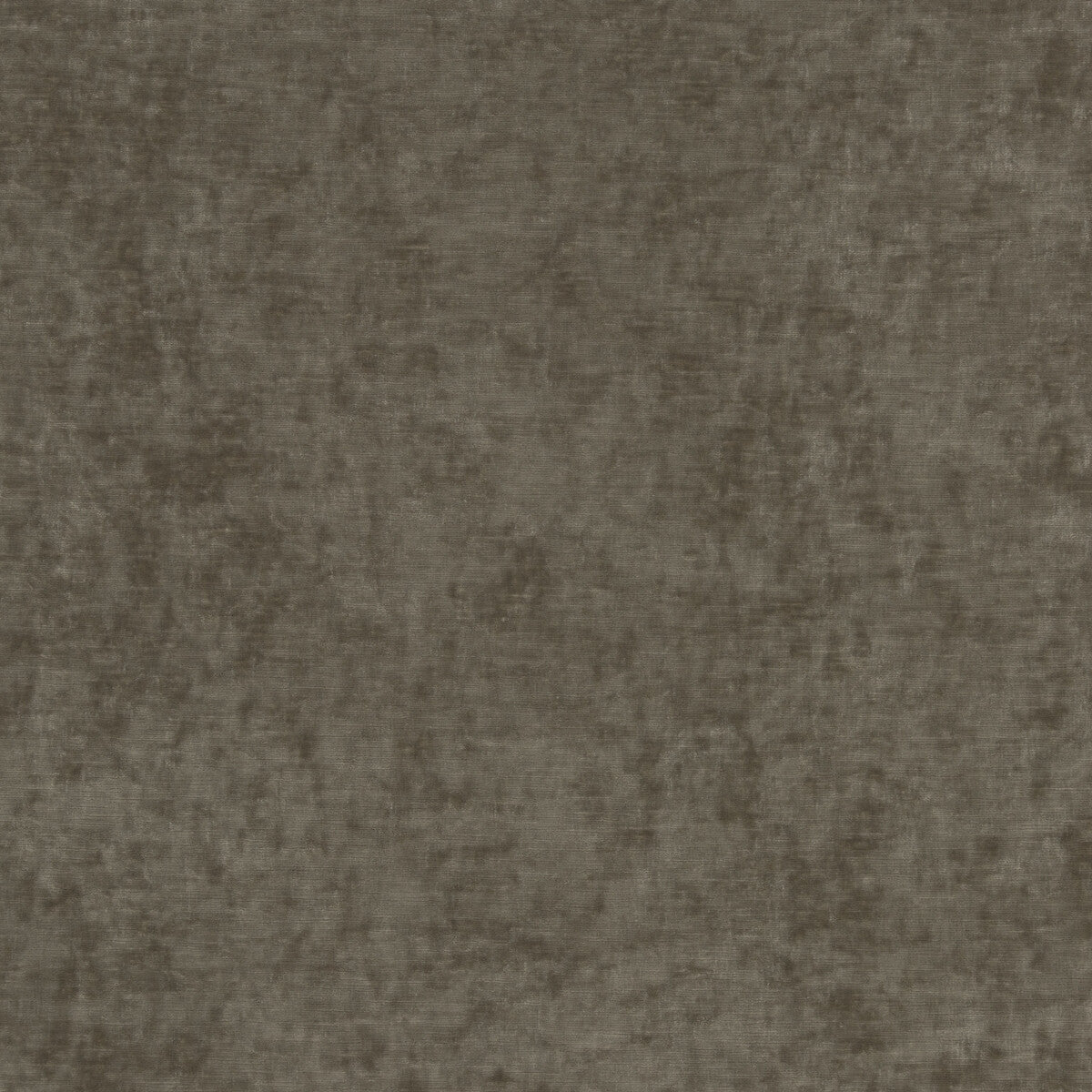 GP & J Baker Vintage Velvet Mink Fabric BF10700.285.0