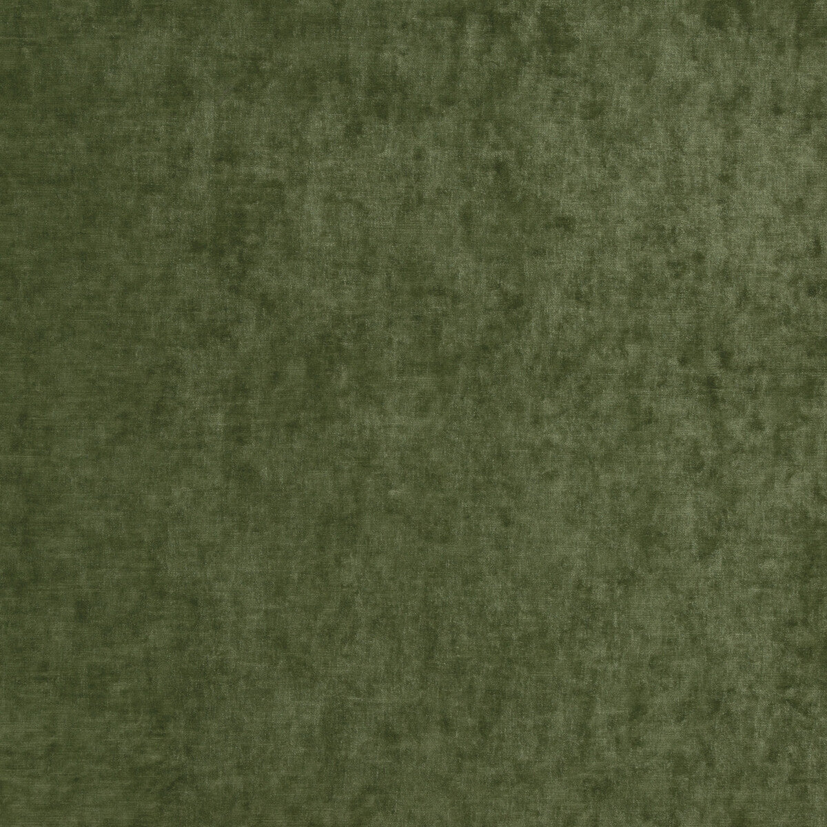 GP & J Baker Vintage Velvet Fern Fabric BF10700.775.0