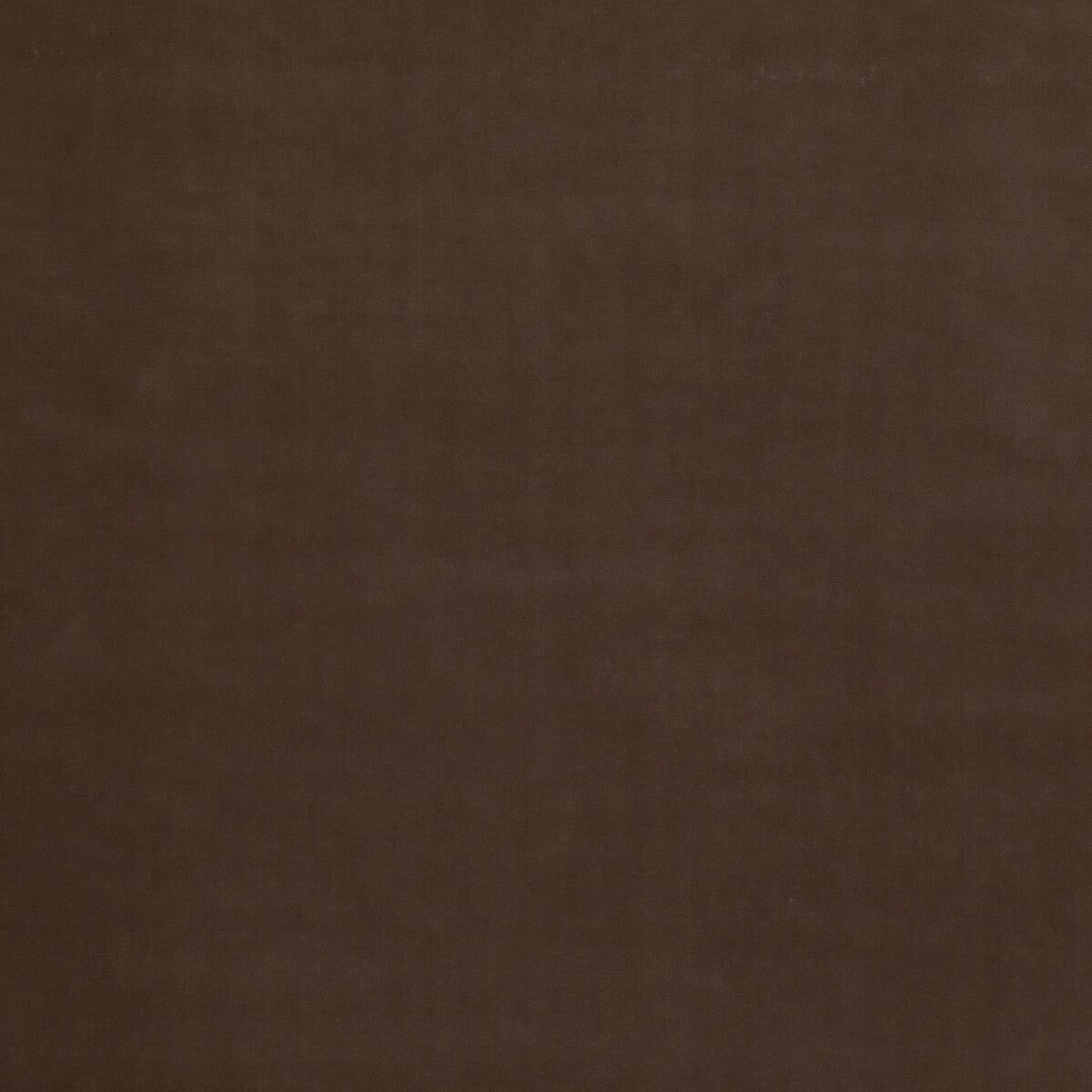GP & J Baker Baker House Velvet Mink Fabric BF10838.285.0