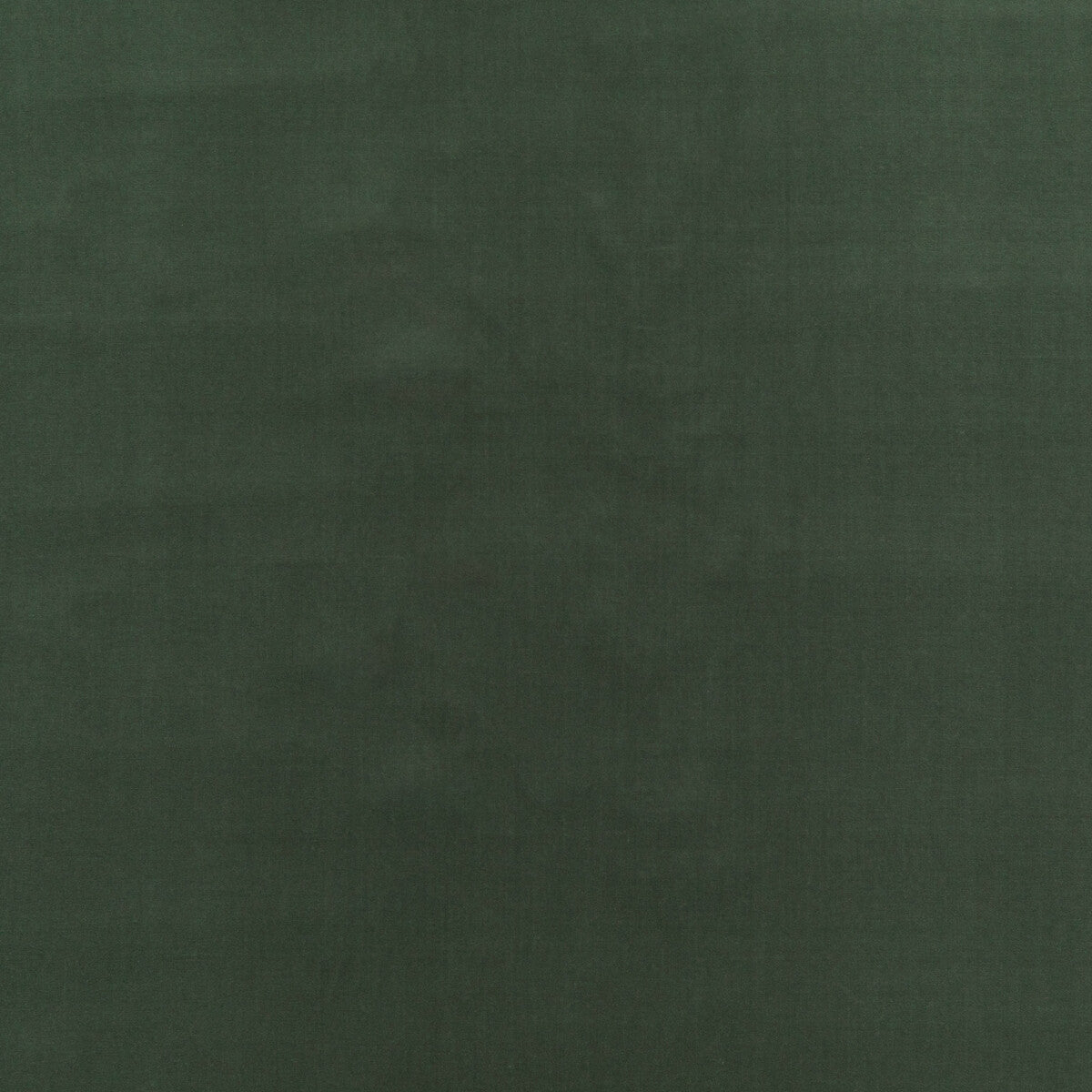 GP & J Baker Baker House Velvet Eucalyptus Fabric BF10838.773.0
