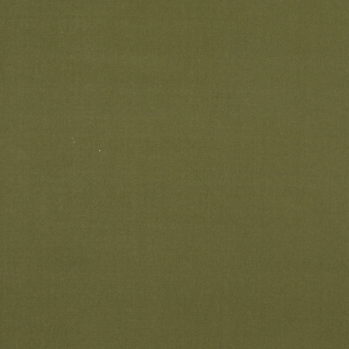 GP & J Baker Baker House Velvet Moss Fabric BF10838.795.0