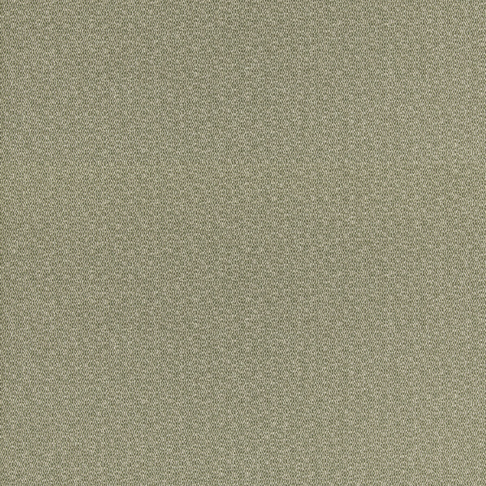 GP & J Baker Morton Green Fabric Sample BF11084.735.0