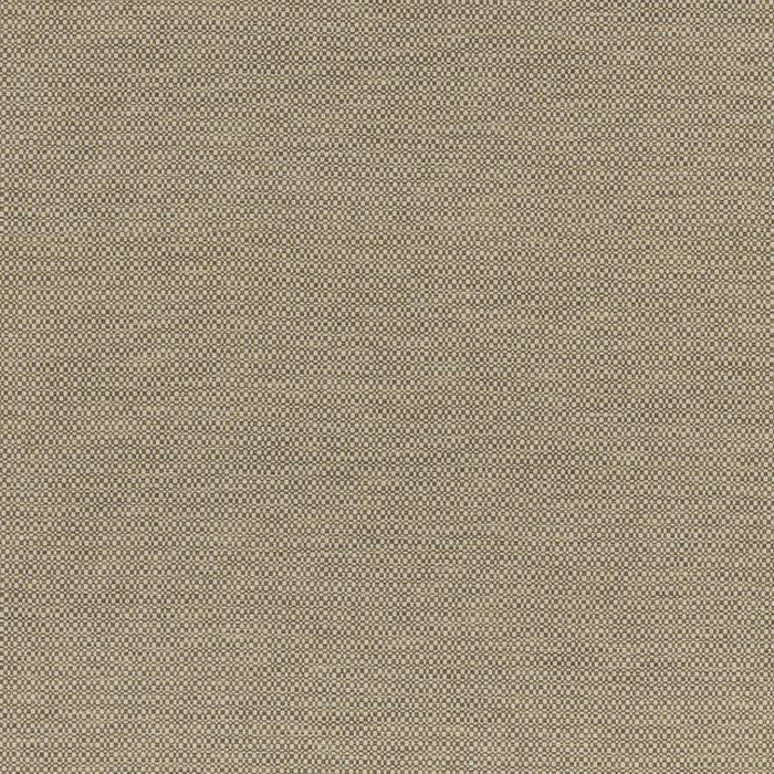 GP & J Baker Hopton Nutmeg Fabric Sample BF11086.250.0