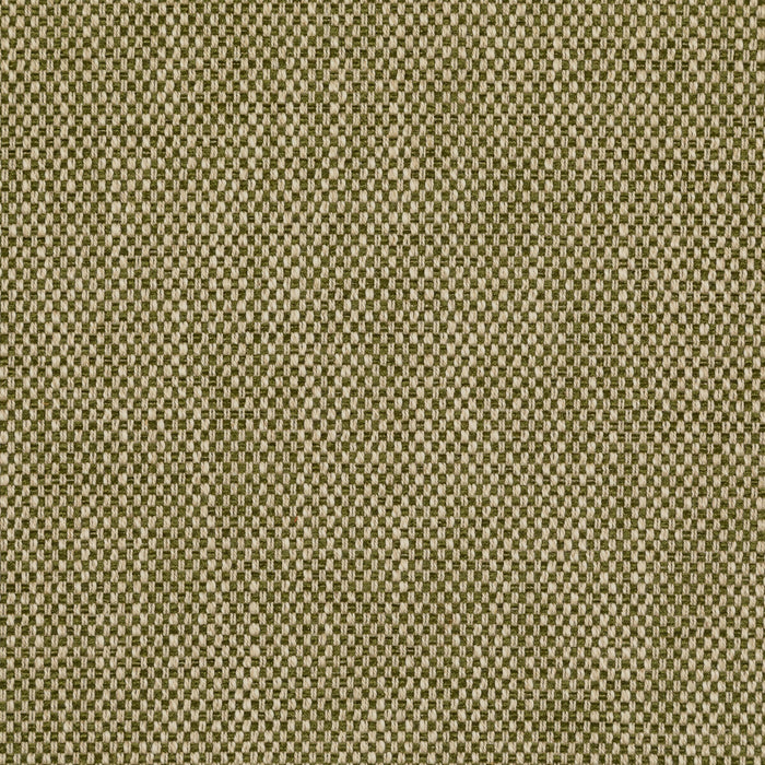 Lee Jofa Carlton Moss Fabric BFC-3692.30.0