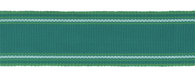 Perennials Band It Border Aqua Fabric Sample BI-158