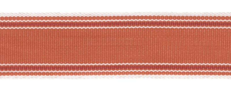 Perennials Band It Border Mandarin Trim BI-167