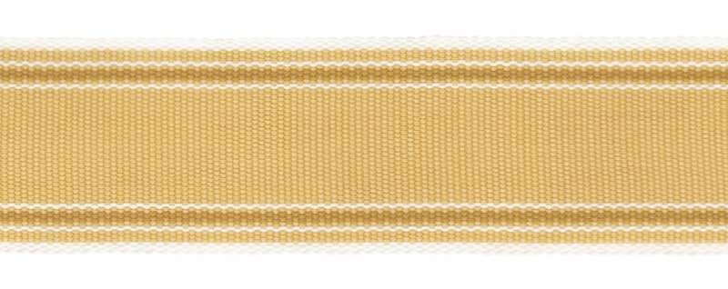 Perennials Band It Border Topaz Fabric Sample BI-255