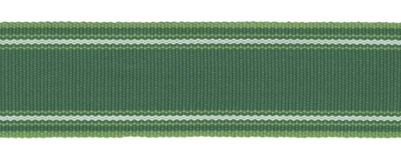 Perennials Band It Border Grass Fabric Sample BI-250