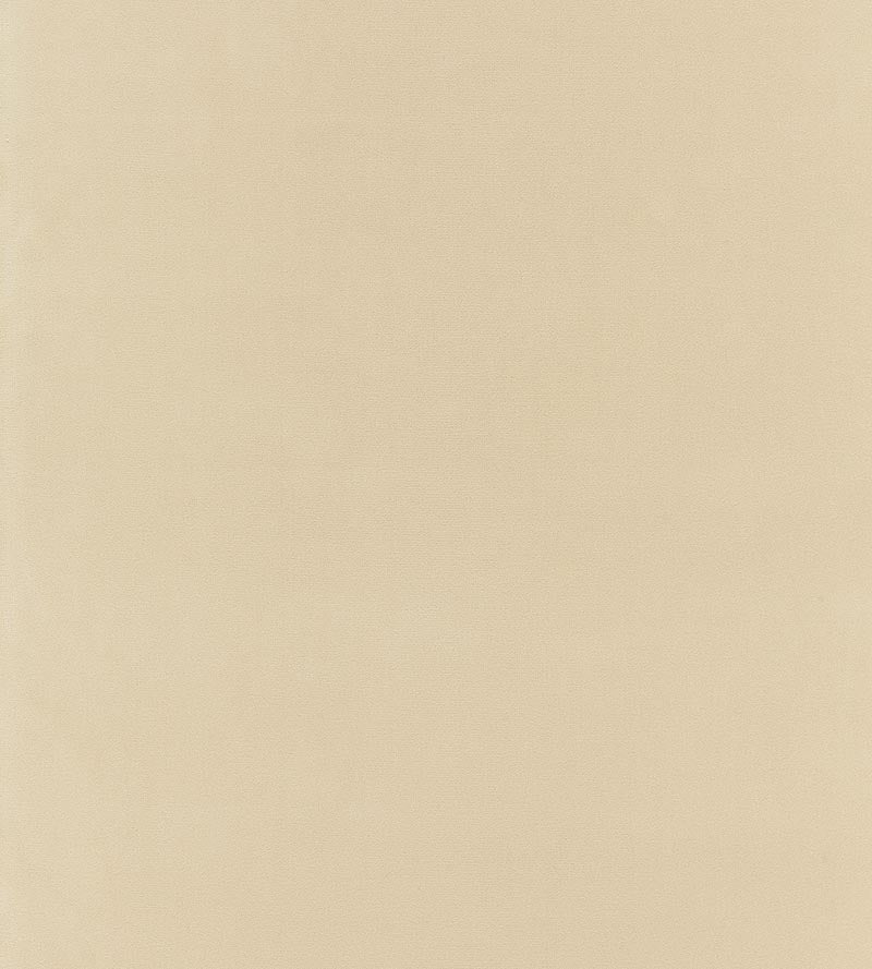 Boris Kroll Richmond Velvet Buff Fabric Sample BKK651220002