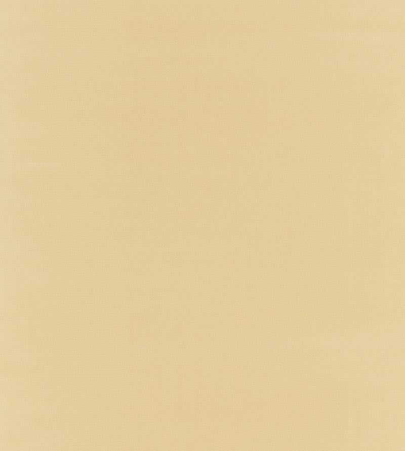 Boris Kroll Richmond Velvet Chamois Fabric Sample BKK651220003