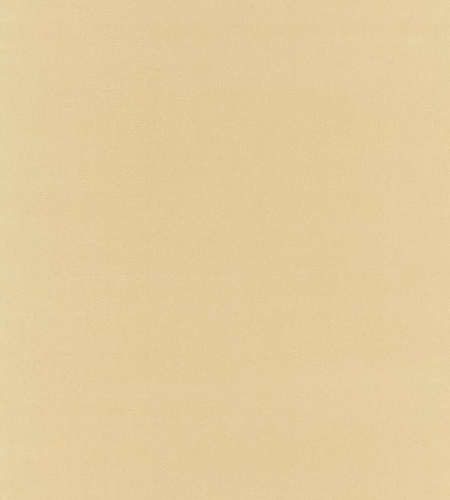 Boris Kroll Richmond Velvet Chamois Fabric BKK651220003
